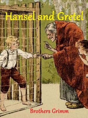 Cover of the book Hansel and Gretel by Silvia Krog