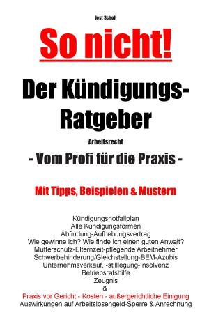 Cover of the book So nicht! Der Kündigungs-Ratgeber Arbeitsrecht by Carlos Jiménez, Heribert Heckschen, Günther Strunk, Willi Plattes
