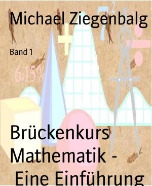 Book cover of Brückenkurs Mathematik - Eine Einführung