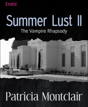 Cover of the book Summer Lust II by Lucas Hucher
