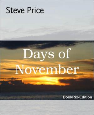 Cover of the book Days of November by Natalie Cuddington