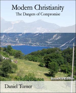 Cover of the book Modern Christianity by David C. Smith, Richard L. Tierney