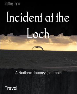 Book cover of Incident at the Loch