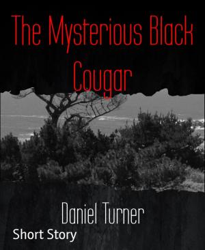 Book cover of The Mysterious Black Cougar