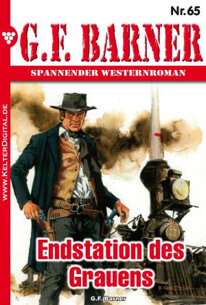 Cover of the book G.F. Barner 65 – Western by Viola Maybach