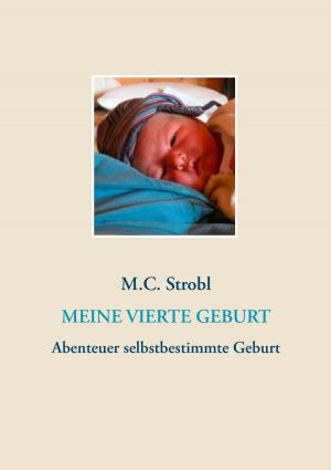 Cover of the book Meine vierte Geburt by Théophile Gautier