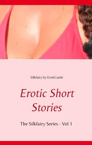 Cover of the book Erotic Short Stories by Line Nygren