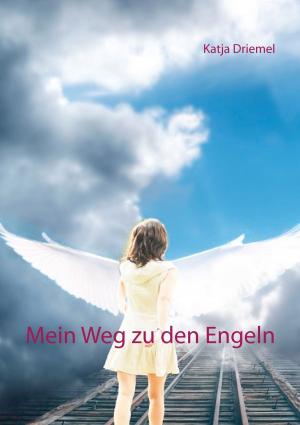 Cover of the book Mein Weg zu den Engeln by Edgar Allan Poe