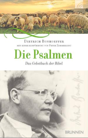 Cover of the book Die Psalmen by John Eldredge