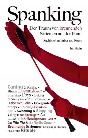 Cover of the book Spanking by George Clemens, Linda Freese, Theo Trödel, Lorelei Stone, Hamilkar Barkas, Andreas Müller