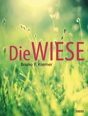 Cover of the book Die Wiese by Ute Friesen, Jan Thiemann