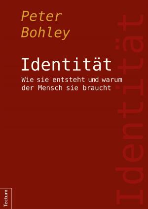 Cover of the book Identität by Ellen Hehnke