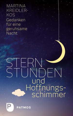 Cover of the book Sternstunden und Hoffnungsschimmer by Jürgen Moltmann