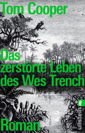 Cover of the book Das zerstörte Leben des Wes Trench by Oliver Pötzsch