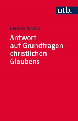 Cover of the book Antwort auf Grundfragen christlichen Glaubens by Prof. Dr. Werner Michl