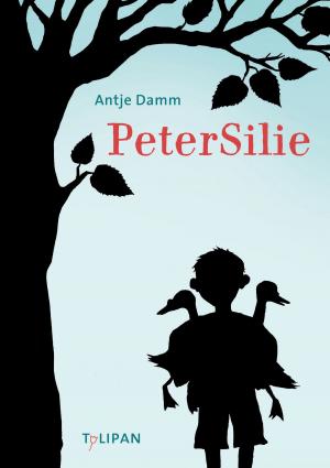 Cover of the book PeterSilie by Ulrich Fasshauer, Regina Kehn