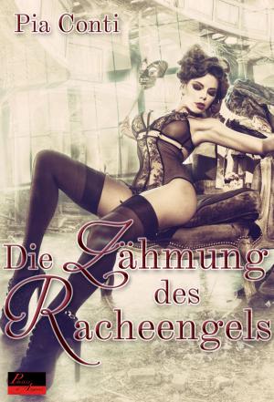 Cover of the book Die Zähmung des Racheengels by Sara Jonas