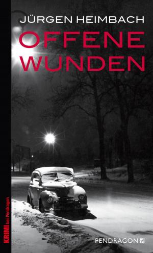 Cover of the book Offene Wunden by Joshua Scheunemann
