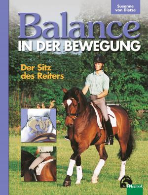 Book cover of Balance in der Bewegung