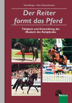 Cover of Der Reiter formt das Pferd