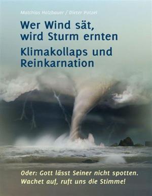 Cover of the book Wer Wind sät, wird Sturm ernten by Dieter Potzel, Matthias Holzbauer