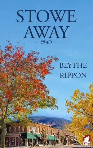 Book cover of Stowe Away