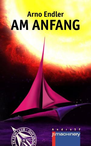 Cover of the book Am Anfang by Sherry D. Ramsey