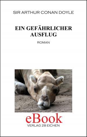 Cover of the book Ein gefährlicher Ausflug by Mota Momma