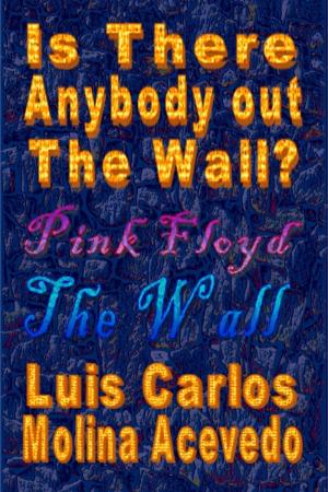 Cover of the book Is There Anybody Out The Wall? by Athanasius-John T. Nkomo