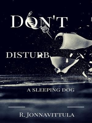 Book cover of Don't Disturb a Sleeping Dog