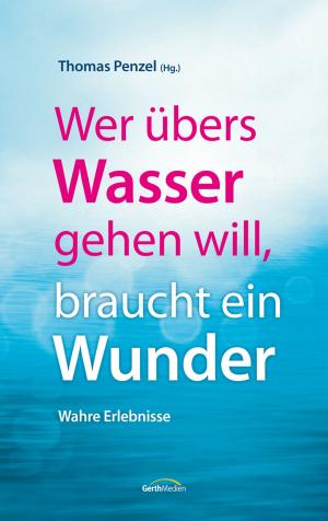 Cover of the book Wer übers Wasser gehen will, braucht ein Wunder by Sarah Young
