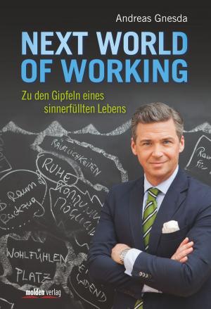 Cover of the book Next World of Working by Manfred Schauer
