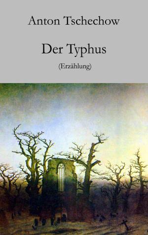 Cover of the book Der Typhus by Helmut Zenker