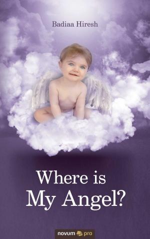 Cover of the book Where is My Angel? by Sarah Allison