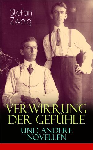 Cover of the book Verwirrung der Gefühle und andere Novellen by Jacob Burckhardt