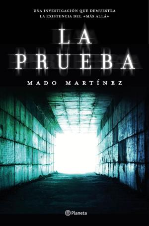 Cover of the book La prueba by Alexandre Saiz Verdaguer
