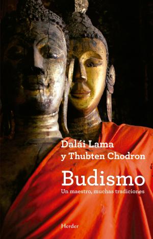 Cover of the book Budismo by Javier Melloni