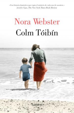 Cover of the book Nora Webster by Dan Simmons
