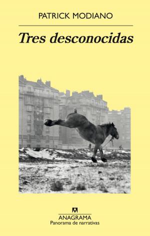 Cover of the book Tres desconocidas by Sara Mesa