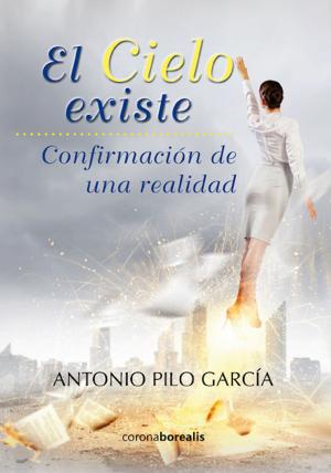 Cover of El cielo existe
