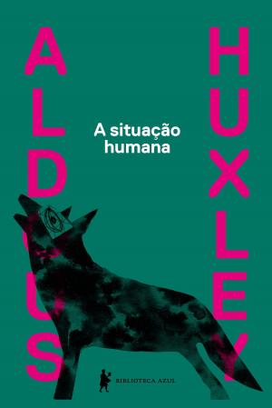 Cover of the book A situação humana by Eça de Queirós