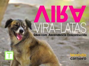 bigCover of the book Vira, Viralatas by 