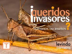 Book cover of Queridos Invasores