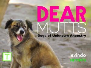 Book cover of Dear Mutts