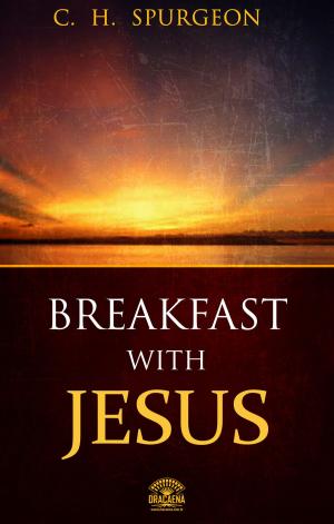 Book cover of Breakfast with Jesus