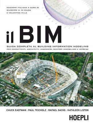 Cover of the book Il BIM by Daniele Bochicchio, Stefano Mostarda