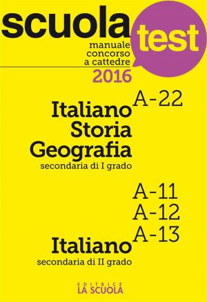 bigCover of the book Manuale Concorso a cattedre Italiano-Storia-Geografia A-22, Italiano A11-A12-A13 by 