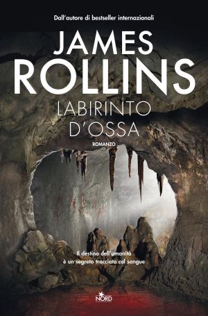 Cover of the book Labirinto d'ossa by Andrzej Sapkowski