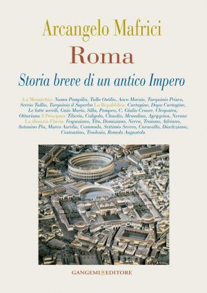 Cover of the book Roma. Storia breve di un antico Impero by Francesco Menegatti