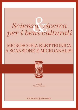 Cover of the book Scienza & ricerca per i beni culturali by Eduardo Carazo Lefort, Marta Alonso Rodríguez, Noelia Galván Desvaux